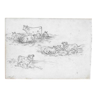 1907 Thorne Drawing of Cows and Sheep For Sale