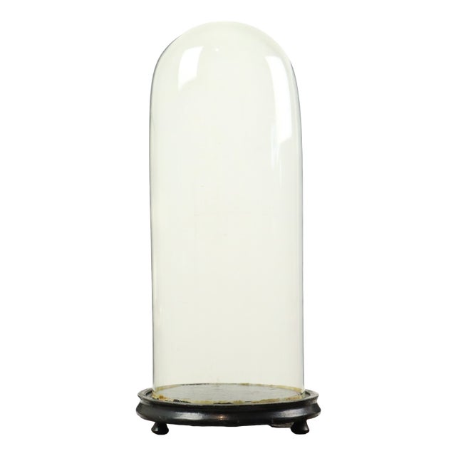 Large Antique Mouth-Blown Glass Dome, 1890s For Sale