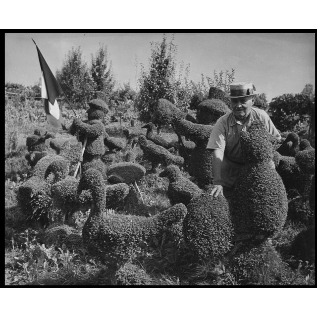 Robert Doisneau, The Flock of Geese, Flag, 1920s-1940s, Silver Gelatin Print For Sale