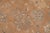 1990s Shabby Chic Brown/Green Wool Rug - 8'0'' X 9'8'' For Sale - Image 5 of 10