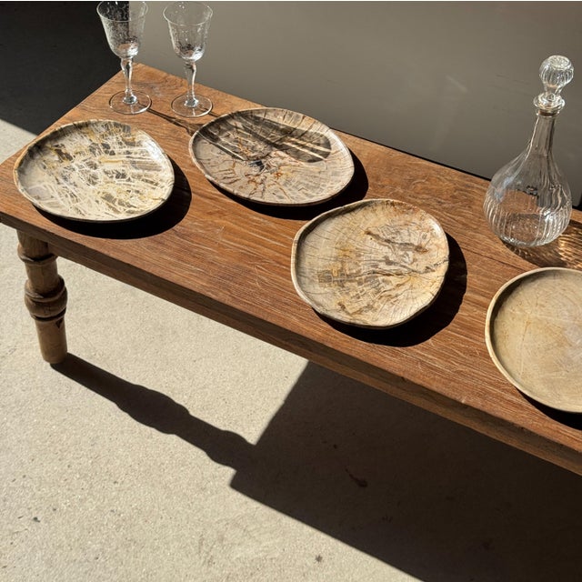 Stone Small Trinket Tray or Dish in Beige Petrified Wood with Small Black Heart-Shaped Circles D21-25 -3314 For Sale - Image 7 of 18