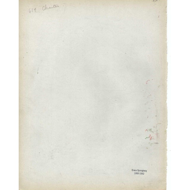 1940s Grace Spongberg Bosque House Courtyard New Orleans Drawing For Sale - Image 4 of 4