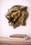 1970s Brass Finish Metal Lion Head Sculptures Wall Mount For Sale - Image 4 of 9