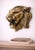 Antique Brass Finish Metal Lion Head Wall Sculptures For Sale - Image 4 of 9