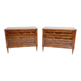 Fine Pair of Late 19th Century Chests For Sale