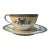 Late 19th Century Haviland Limoge Pocelain Teacup and Saucer in Paradise For Sale