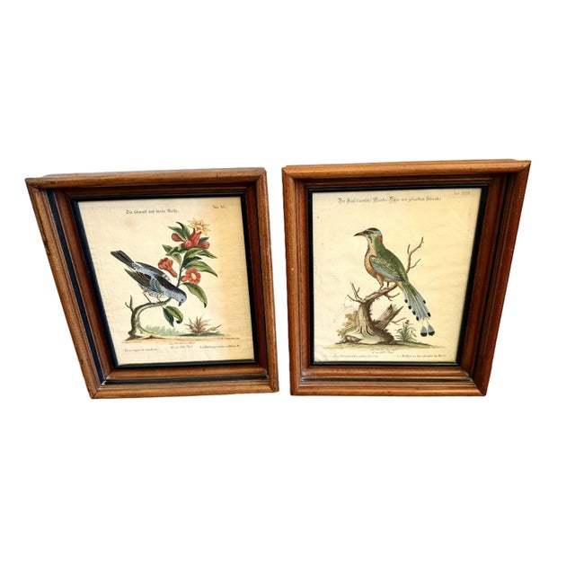 PAIR 19th Century George Edwards Copper Plate Bird Etchings Hand Colored from "A Natural History of Uncommon Birds and of...