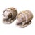 Set of Two 19th Century French Weathered Concrete Pig Garden Sculptures For Sale
