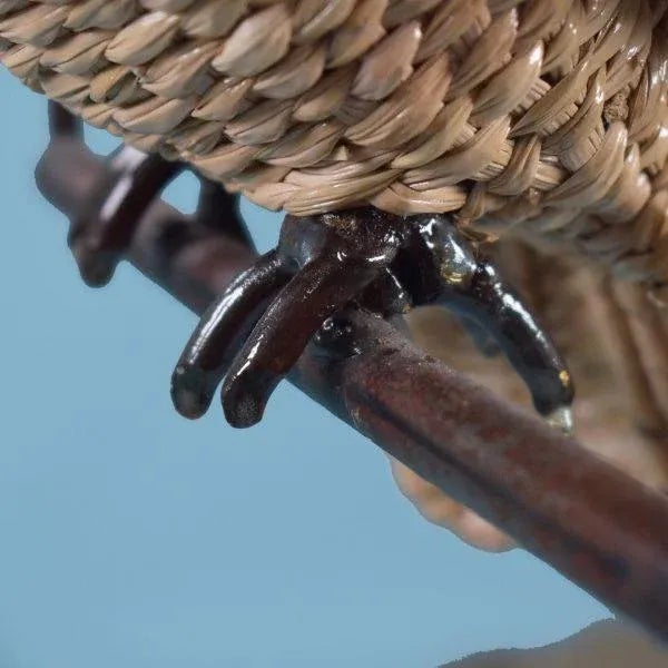 Large Owl on a Swing By Mario Lopez Torres For Sale In West Palm - Image 6 of 7