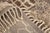 Taupe Layered Trellis Hand-Knotted Moroccan Wool Rug | 13'3" X 10'4" | One of a Kind For Sale - Image 8 of 8