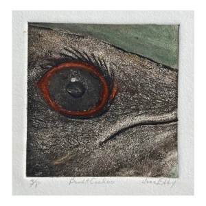 Jane Eddy Bandit Cuckoo Color Etching