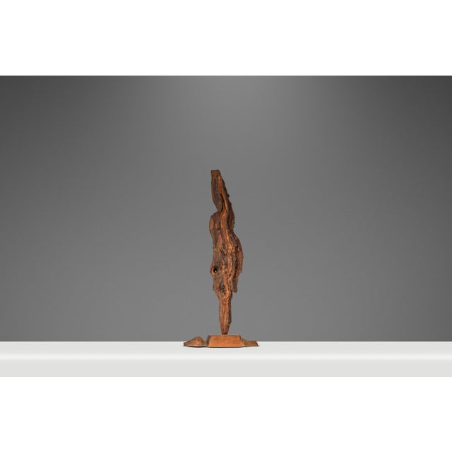 Signed Abstract Rustic Driftwood "Howling Wolf" Sculpture in Solid Beach Driftwood by Emlen Drayton, Usa, C. 2000s For Sale - Image 4 of 15