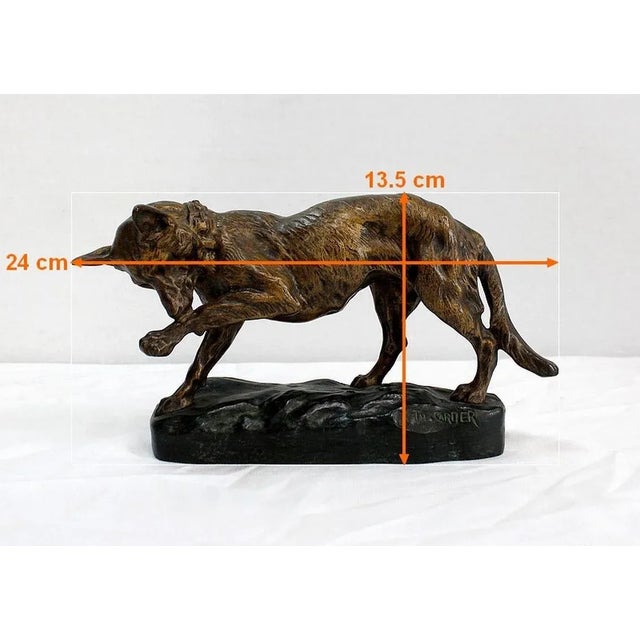 T.F. Cartier, German Shepherd Dog, Early 20th-Century, Bronze For Sale - Image 18 of 18