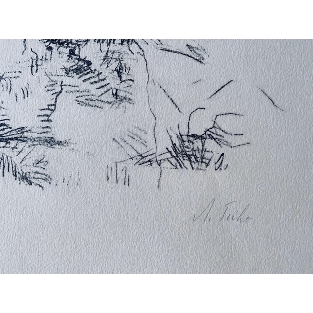 Anna Ticho, German Israeli Expressionist Abstract Lithograph Of Judeah Hills For Sale - Image 4 of 7