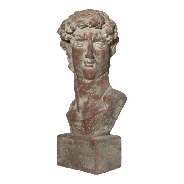 Mid Century Plaster Life-Size Bust of David Sculpture For Sale