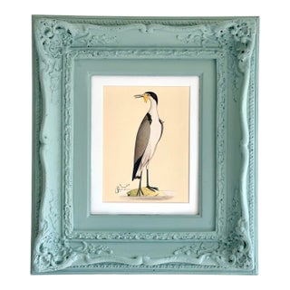 Large Size Original Hand-Painted Bird Painting in a Hand-Painted Vintage Frame For Sale