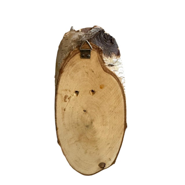 1970s Roe Deer Trophy 185 Black Forest Antlers Mount For Sale - Image 5 of 5