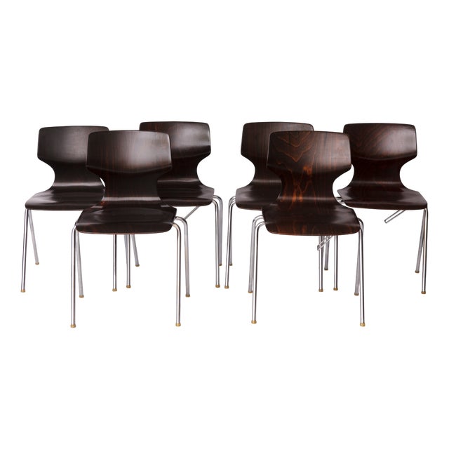 Vintage German Flötotto Pagwood Chairs in Chrome and Plywood, 1980s, Set of 6 For Sale