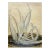Vintage Aloe Plant Painting For Sale