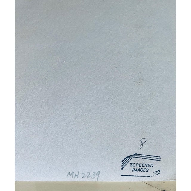 David Sharir, Israeli Naive Folk Art Birdhouse Silkscreen Lithograph David Sharir Birds For Sale - Image 9 of 10