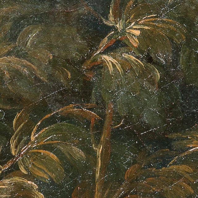 Domenico Guidobono, Living Nature with Pigeon, 18th-17th Century, Oil on Canvas, Framed For Sale - Image 4 of 12