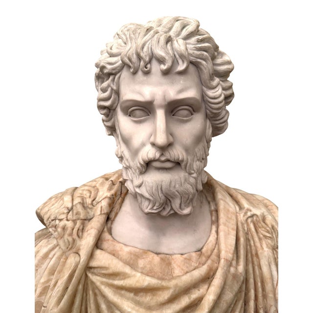 Mid 20th Century Bust of Roman Emperor Septimius Severus on Black Marble Base. Italy 20th Century For Sale - Image 5 of 10