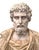 Mid 20th Century Bust of Roman Emperor Septimius Severus on Black Marble Base. Italy 20th Century For Sale - Image 5 of 10