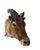 Animal Skin Himalayan Tahr Taxidermy Shoulder Mount For Sale - Image 7 of 8