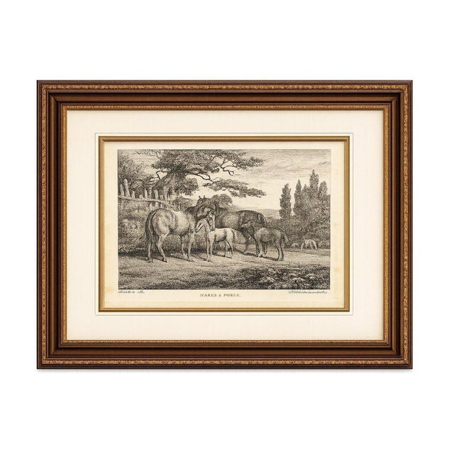 Title: 1799 Samuel Howitt "Mares & Foals" Engraving – Original Georgian English Equestrian Print Creator: Samuel Howitt...