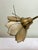 Vintage Brass Floral Table Lamp with Three Lotus Flowers, 1960s For Sale - Image 12 of 14