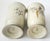Pair Bird Vases by Tirschenreuth 1930s For Sale - Image 11 of 12