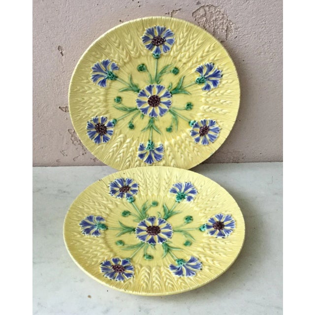 French Majolica Morning Glory Plate Luneville, Circa 1880 For Sale In Austin - Image 6 of 6