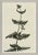 Susan Hable is a renowned artist and designer based in Athens, Georgia, known for her bold and colorful works. Co-founder...