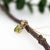 2020s 2.1ct Peridot Pendant with Earth Mined Diamonds in Solid 14K Yellow Gold Round 8mm For Sale - Image 5 of 8