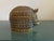Vintage Gucci (Attributed To) Rhino Ceramic Lidded Box For Sale - Image 11 of 11