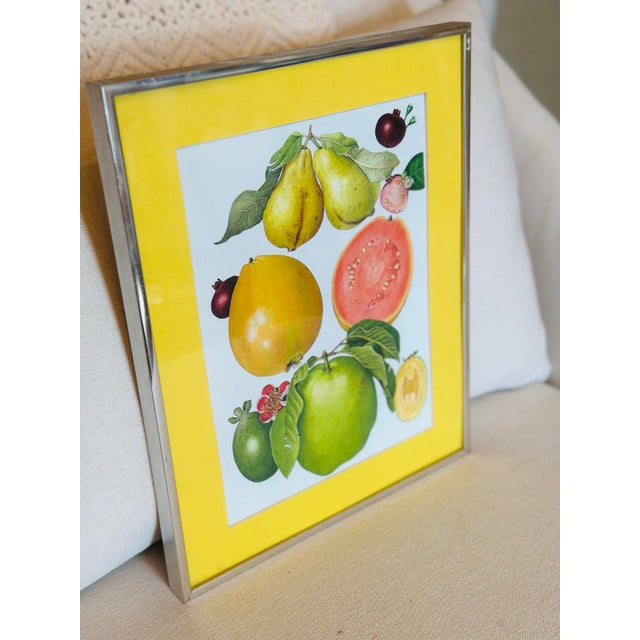 Vintage Fruit Print, Framed For Sale - Image 4 of 6