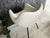 20th Century Modernism Matte White RM58 Armchair by Vzór for Roman Modzelewski For Sale - Image 6 of 18