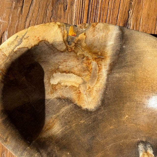 Dark Beige Oval Petrified Wood Bowl, 1980s For Sale - Image 4 of 8