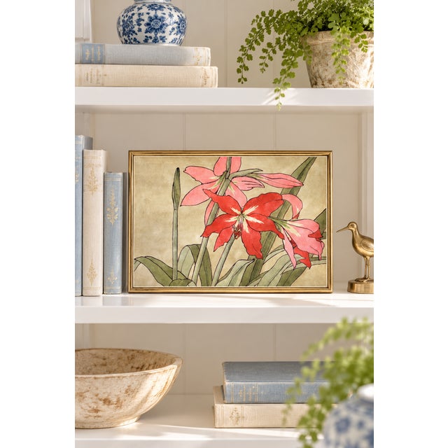 Bunny Williams Home 1915 Vintage Amaryllis Botanical Art Print by Hannah Borger Overbeck - 12" X 8" For Sale - Image 4 of 8
