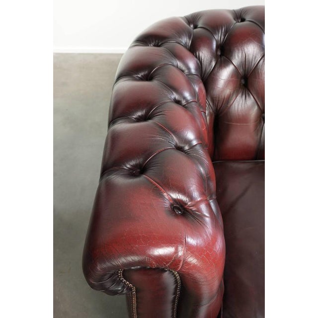 Animal Skin Cowhide Chesterfield 2.5-Seater Sofa in Oxblood Red For Sale - Image 7 of 14