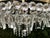Cut Crystal Chandelier, 1970s For Sale - Image 14 of 18