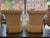 This is a pair of vintage slipper chairs. They were made by Century Furniture. They have a channel back. They have a...