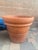 Large Vintage Italian Terracotta Garden Planter With Rolled Rim, Tuscany For Sale - Image 12 of 12