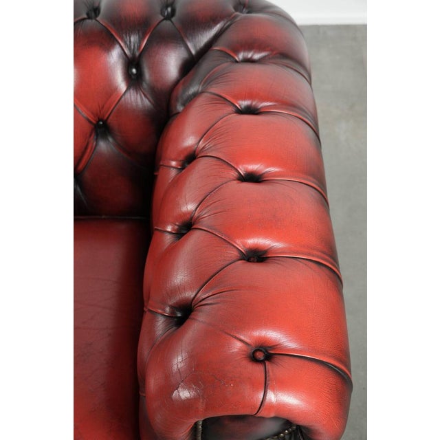 English Chesterfield Sofa in Cow Leather For Sale - Image 9 of 16