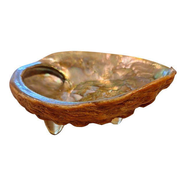 1960s Abalone Shell Trinket Dish For Sale