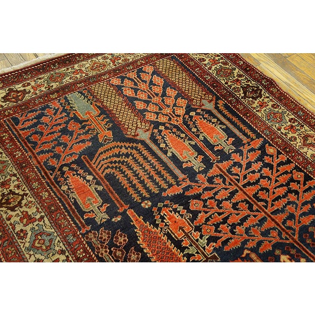 Early 20th Century N.W. Persian Carpet with "Bid Majnoon" Design Displaying a variety of trees. Navy background with ivory...