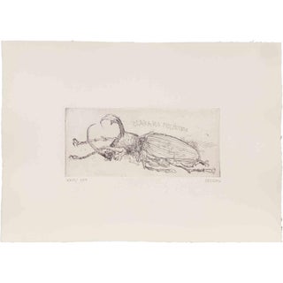 Sergio Barletta, Mexican Beetle, Etching, 1970s For Sale
