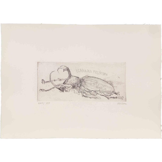 Sergio Barletta, Mexican Beetle, Etching, 1970s For Sale