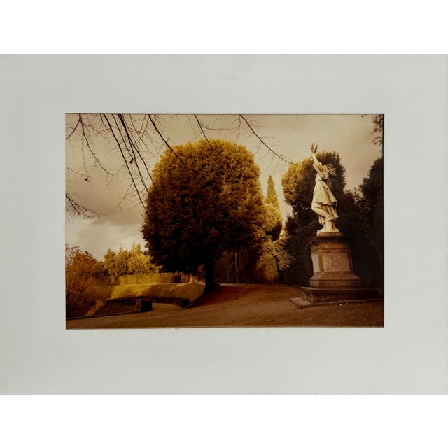 Brown Mitch Epstein, Mitchell Epstein Signed Vintage Color Photograph C Print Photo Florence Italy, 1977 For Sale - Image 8 of 12
