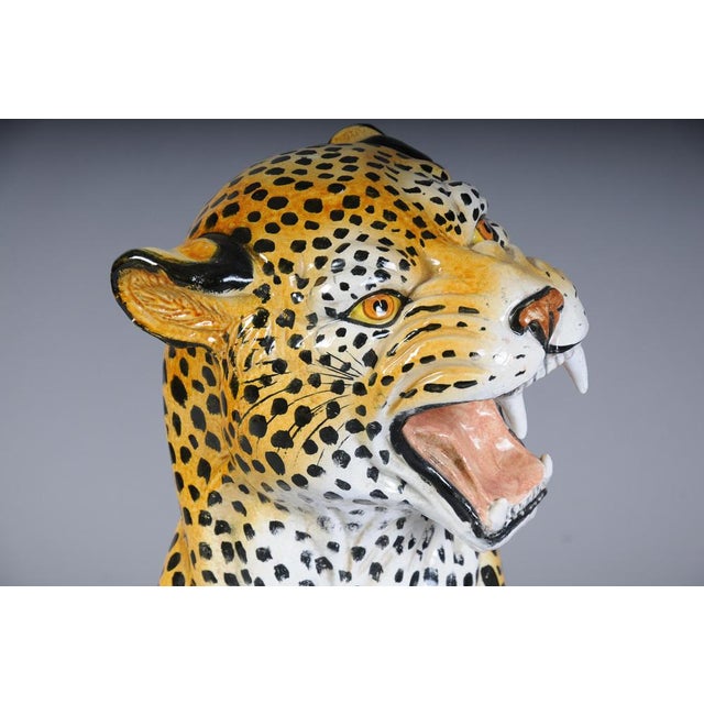 Leopard with Broken Foot For Sale - Image 13 of 18